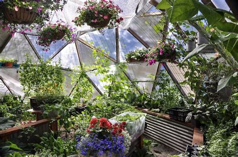 Growing Dome Geodesic Greenhouse Kits Arctic Acres Geodesic Growing