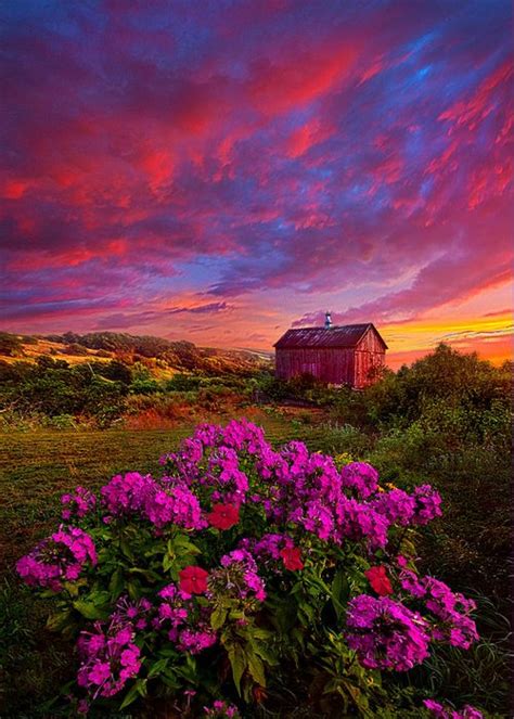 A Whole World In Front Of Us Greeting Card For Sale By Phil Koch