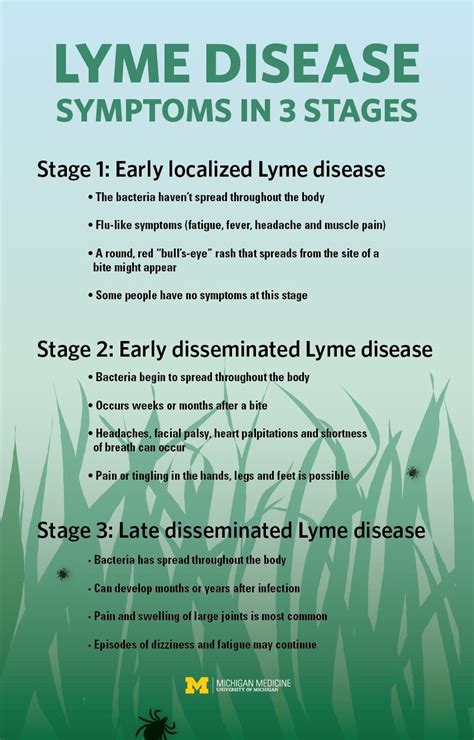 You Can Have Lyme Disease — And Not Know It Learn How To Prevent The