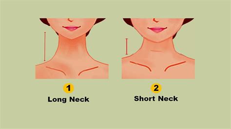 Personality Test Your Neck Shape Reveals Your Hidden Personality Traits His Education