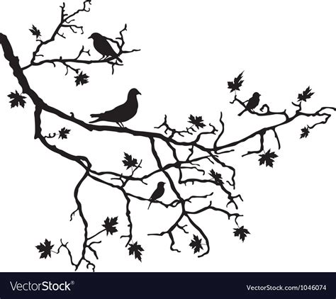 Birds On Branch Royalty Free Vector Image Vectorstock