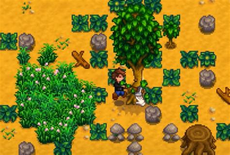 Stardew Valley Trees Guide Barking Up The Right Tree SDew HQ
