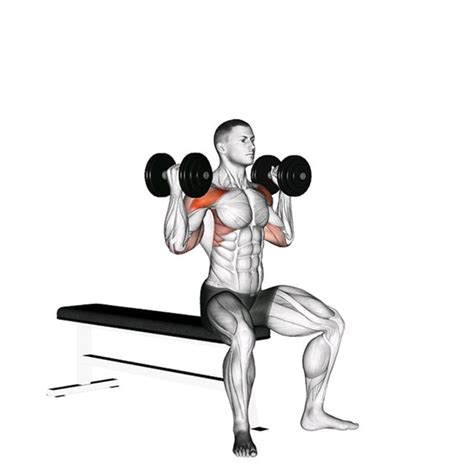 dumbbell arnold press by john m exercise how to skimble