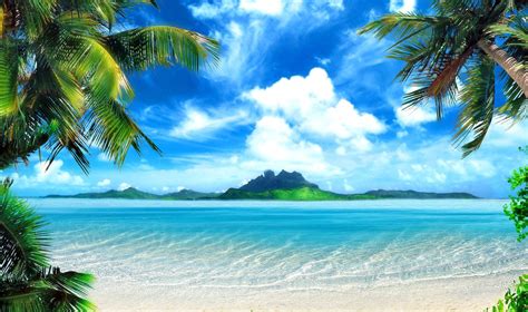 Tropical Background Pictures 54 Images