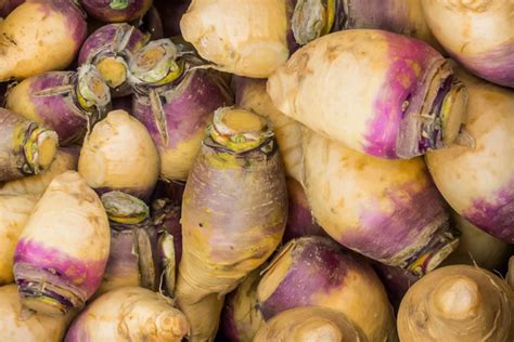 10 Root Vegetables You Can Successfully Grow