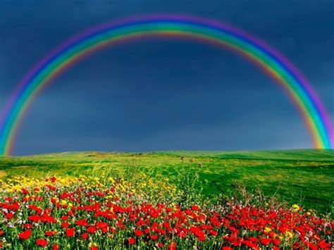 Nature Rainbow Wallpaper Hd Wallpapers Download Chainimage