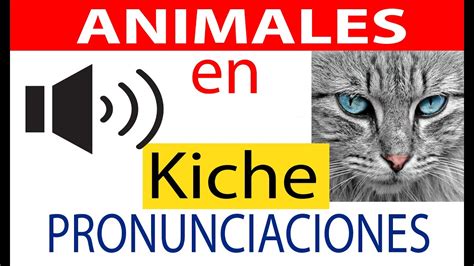 Todos Los Animales En Kiche Español Con Imagenes Idiomas Mayas