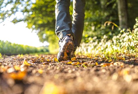 Green Exercise The Benefits Of Walking And Exercising In Nature