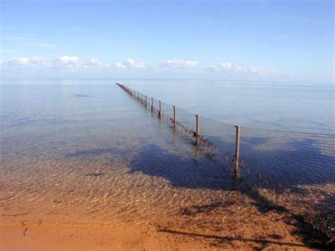 Angove's prides itself on providing their customers with qualilty workmanship with every fence they construct. Shark Bay Fencing - Integrated Recycling