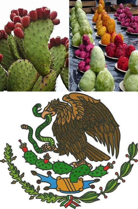 Pin de paty cervantes en Viva México Historia mexicana Mexico