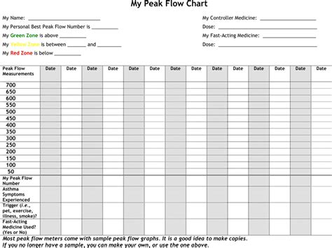 Peak Flow Graph Printable Example Calendar Printable