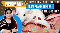 Weismann Germ Plasm Theory | Developmental Biology CSIR NET - YouTube