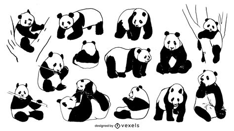 Panda Hand Drawn Collection Vector Download