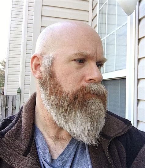 Pin By Mark M On Beards Beard Haircut Bald With Beard Bald Head