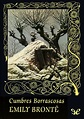 Cumbres Borrascosas - Emily Brontë - Libro completo en PDF | Alianza ...