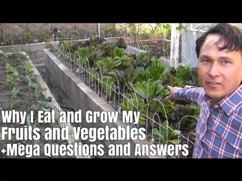 It has lots of health benefits as well. Why I Eat and Grow My Fruits and Vegetables plus Mega Q&A ...