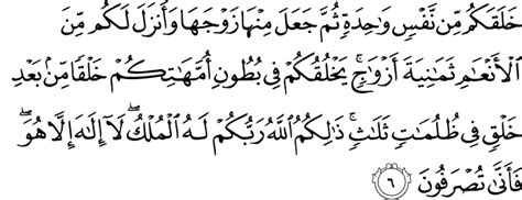 Read online quran surah no. Quran Surat Az Zumar Ayat 53 - Nusagates