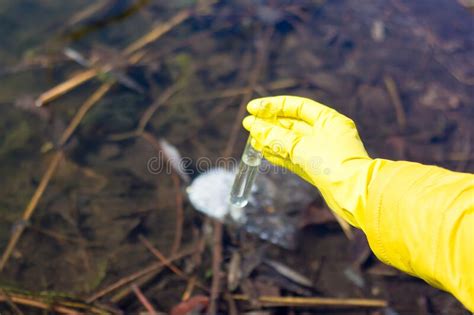 Environmental Pollution Trash In The Lake Stock Photo Image Of