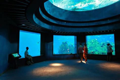 Ritebook Sea Aquarium The Worlds Largest Aquarium Sentosa Singapore