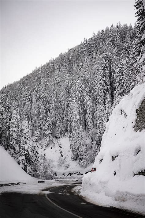 Road Mountain Snow Trees Slope Winter Hd Phone Wallpaper Peakpx