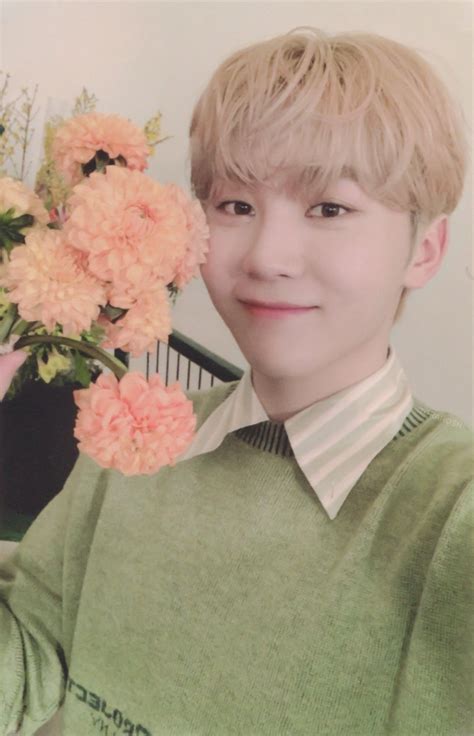 Jeonghan, Wonwoo, Fnaf Photos, Carat Seventeen, Boo Seungkwan, Joshua