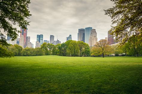 Outdoor Activities In New York