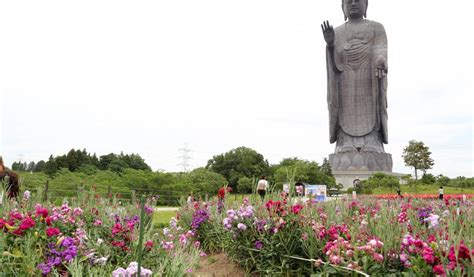 Ushiku Daibutsu Ibarakis Giant Buddha Tokyo Cheapo