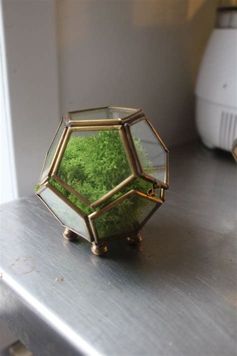 Little Vintage Polyhedron Multi Sided Brass And Glass Etsy Glass Terrarium Polyhedron