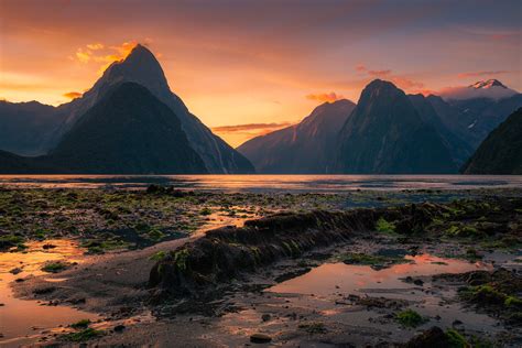 Milford Sound Sunrise At Low Tide South Island New Zealand