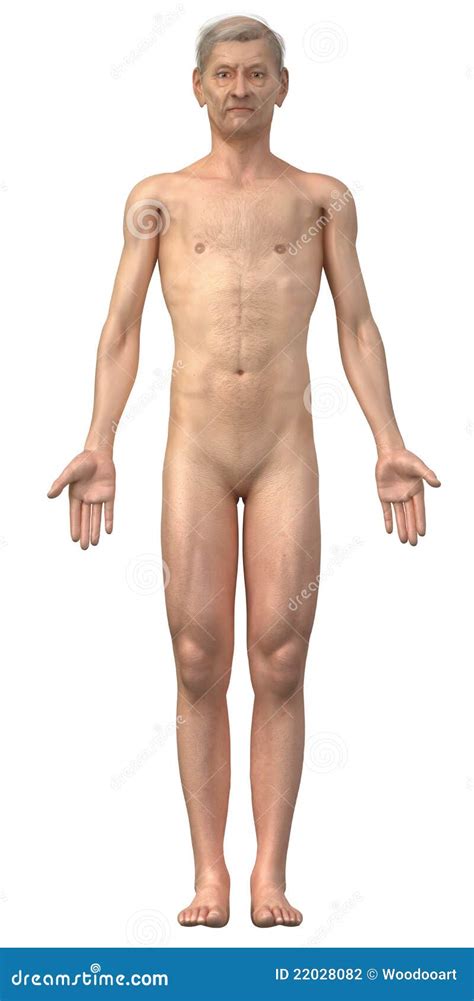 Naked Old Man In Anatomical Position Stock Illustration Illustration