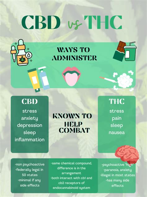 Cbd Vs Thc What The Difference Cbd Modern Frisco Tx