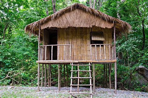 Best Hut Tropical Rainforest Bamboo House Stock Photos Pictures