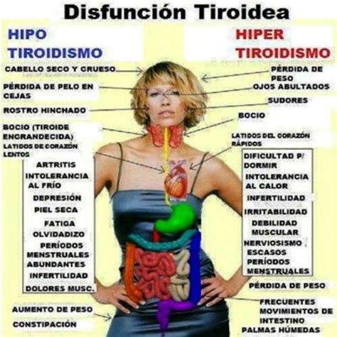 Hipertiroidismo O Que É Causas Sintomas E Tratamentos Dicas Mobile