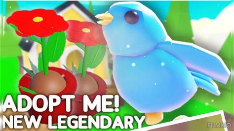 All The Birds In Adopt Me Youtube