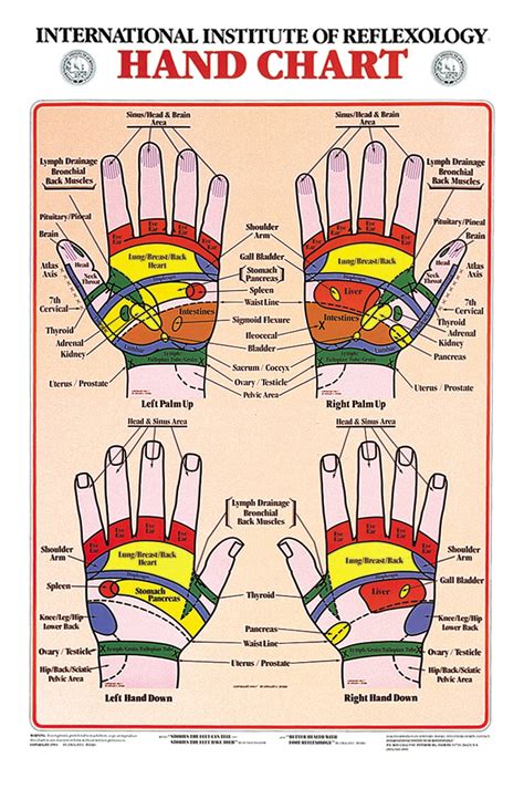 Printable Hand Reflexology Chart