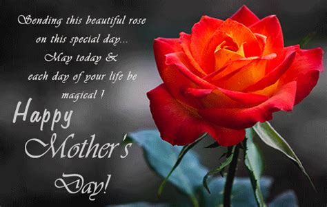 Mother's day is an annual event which is celebrated with lots of enthusiasm in nations around the world. Beautiful Rose For Mother's Day. Free Flowers eCards | 123 ...
