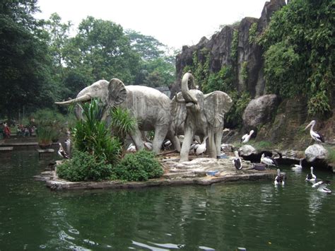 Zoo Of Jakarta Ragunan Tour Jakarta