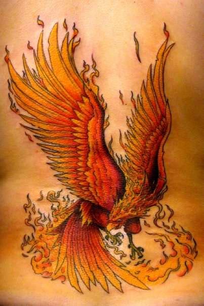 The phoenix is spiritually connected to transformation, death, and rebirth. Phoenix Tattoo Design Ideas and Pictures Page 2 - Tattdiz