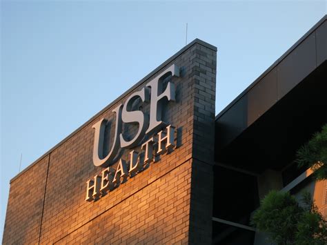 Usf Health Tampa Fl Hall Engineering Group
