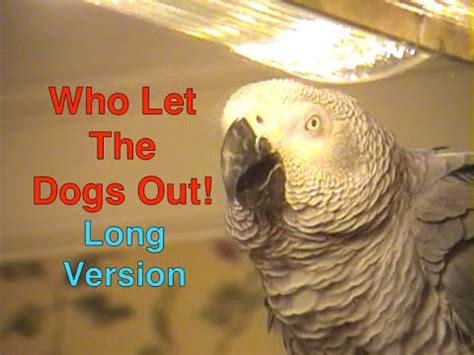 Who let the dogs out is a song performed by the bahamian group baha men. Einstein sings, "Who Let The Dogs Out" - Long Version ...