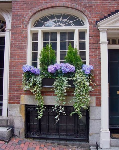 80 Perfect Shade Plants For Windows Boxes Window Box