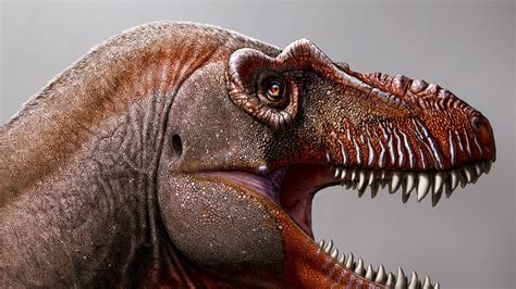 Tyrannosaur Dinosaur New Species Discovered In Canada