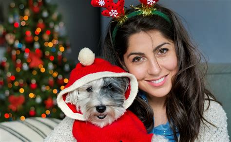 The Secret To Stress Free Travel Dogtopia Daycare After Hours To The Rescue