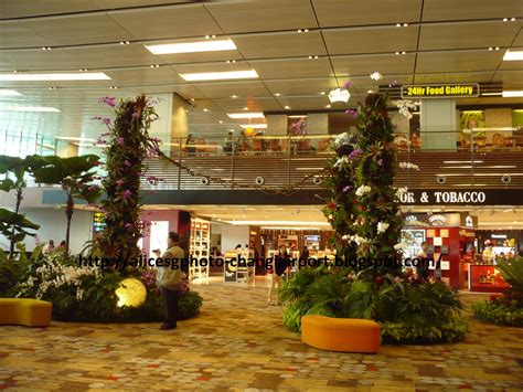 Changi Airport Singapore Changi Airport Terminal 1