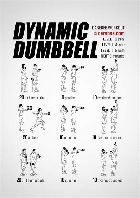 Dynamic Dumbell Dumbbell Workout Dumbell Workout Biceps Workout