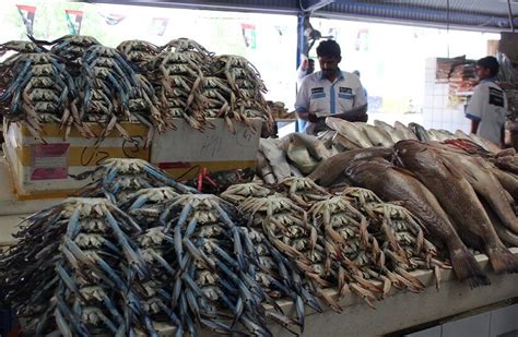 Fish Market Dubai A Detailed Guide For Visitors