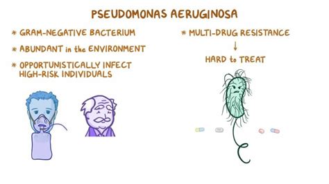 Pseudomonas Aeruginosa Treatment Causes Symptoms