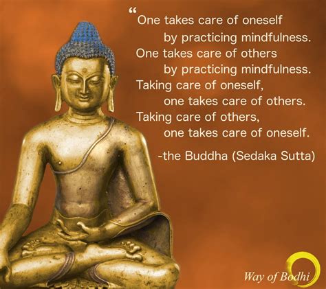Sedaka Sutta The Mindful Balance Way Of Bodhi