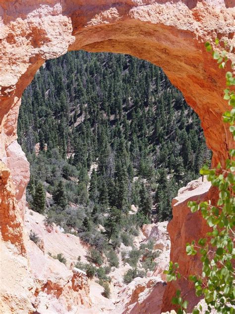 Natural Bridge Bryce Canyon National Park Utah Stock Photo Image Of