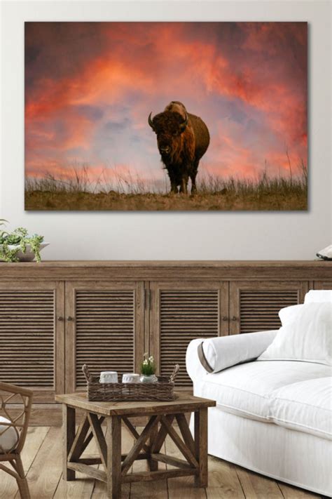 Bison Buffalo Wall Art Canvas Prints Photo Prints Barnwood Frame